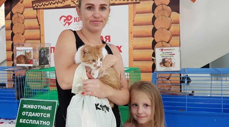 Выставка в ТЦ OZ Молл 07-08 сентября.
